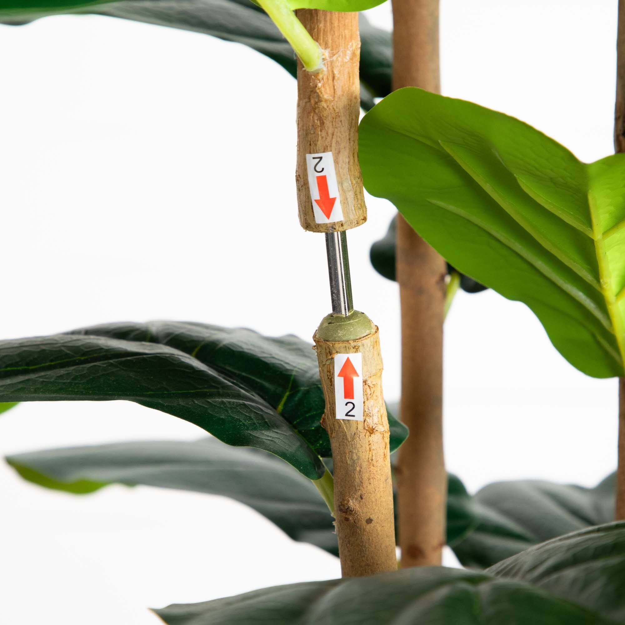 7ft. Fiddle Leaf Tree in Decorative White Planter